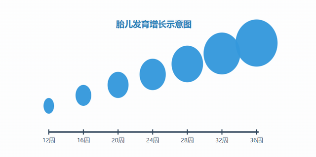 孕期胎儿大小对照表及B超单解读指南