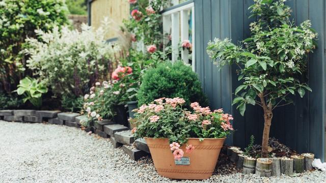 夫妻到了晚年	，只要是“分房睡”，大都逃不过3个原因