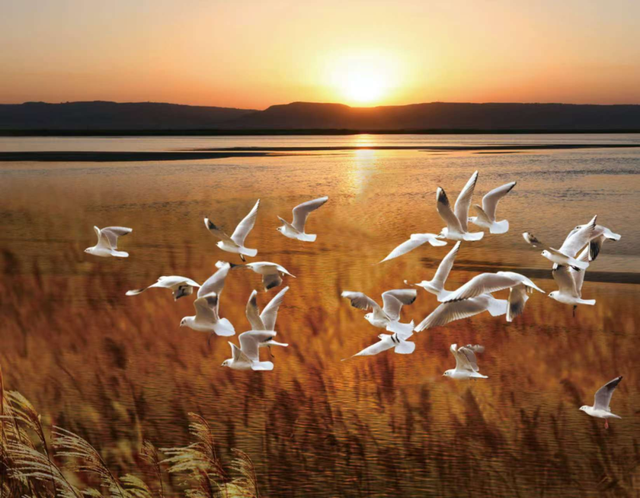 被渭南“暖”到了……