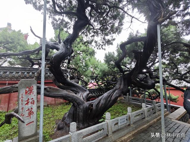 徒步登泰山之四—终章——冒雨徒步下山补看泰山关帝庙