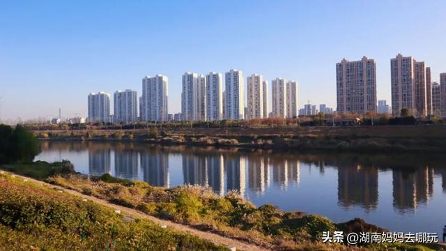 不用去南京，长沙也藏着 “梧桐秘境”！遛娃拍照美到窒息！