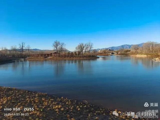 初冬北京玉河湿地公园游记|申艳娟