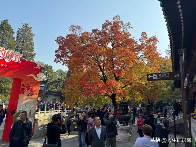 去香山看红叶