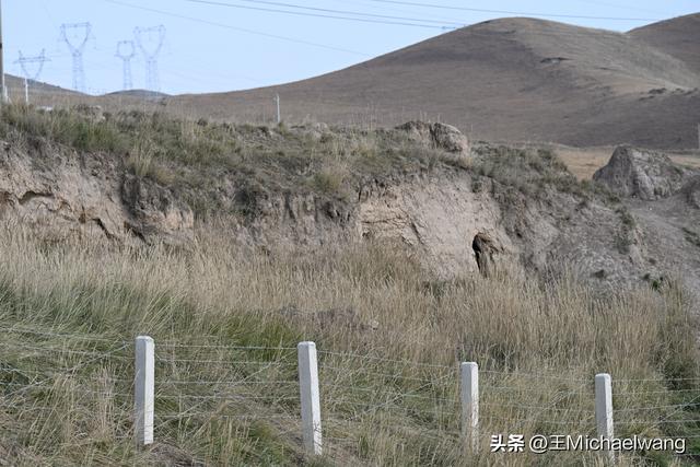 古意秋风三万里（D11）-从中卫市到古浪县