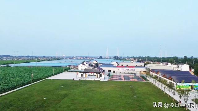 宝应军师村