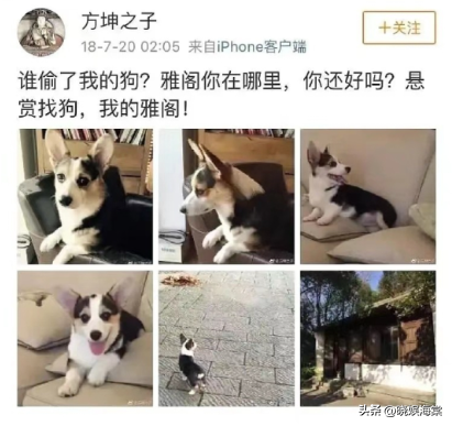70岁晚节不保！袁立不再隐瞒，张国立丑闻曝光，该慌的不止李红