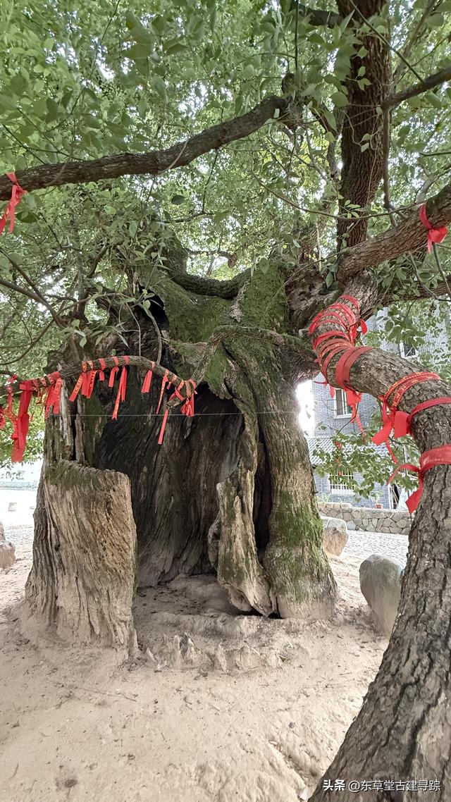 大美桐洲岛，富春江上的绿野仙踪，解锁水陆空撒野新玩法