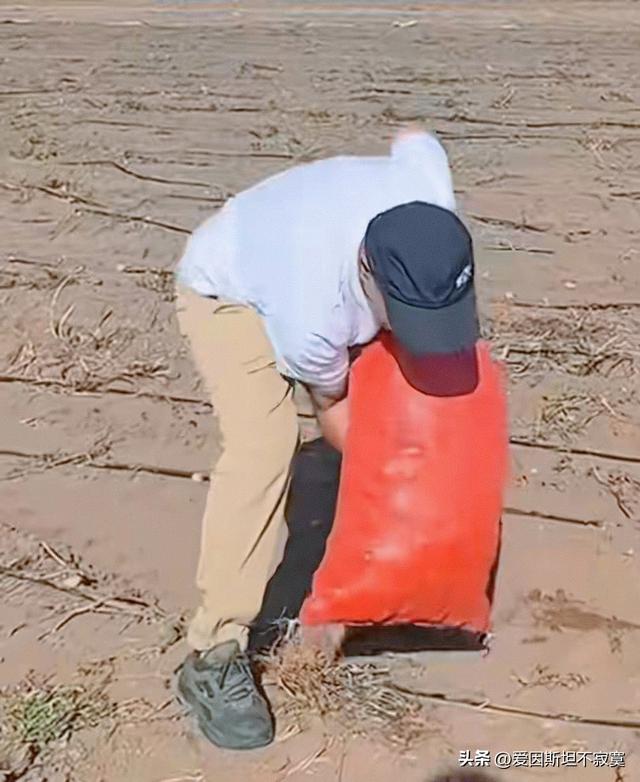 捡板栗被讹300？内蒙古直接甩出土豆山：捡！捡到你不好意思！