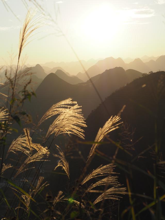 人过五十才明白：有些人，不必原谅