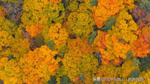 多图实拍！这才是汉中的秋日顶流！