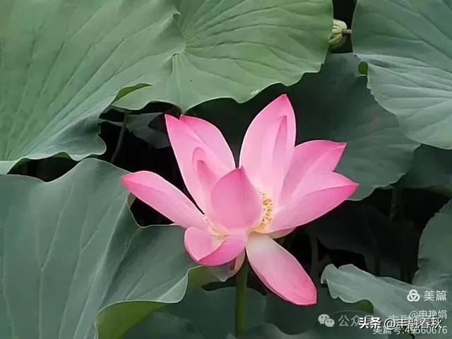 邂逅北京房山牛口峪湿地公园：工业废水的生态蝶变｜ 申艳娟