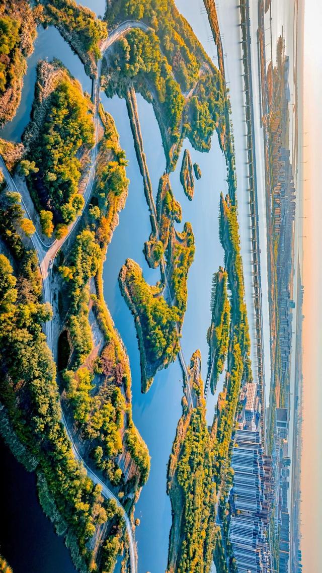 生态城的秋天，已经美得不像样了