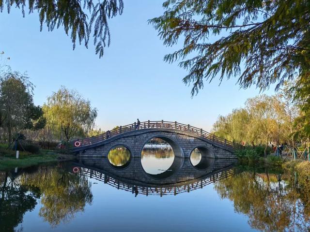 上海解锁“千园之城”,遛娃拍照吸氧圣地,哪个是你最爱?