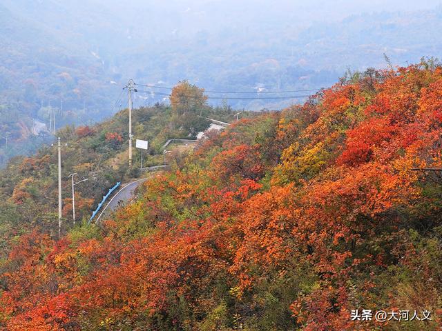 赵庄：红叶与五彩步道交织的秋日盛景