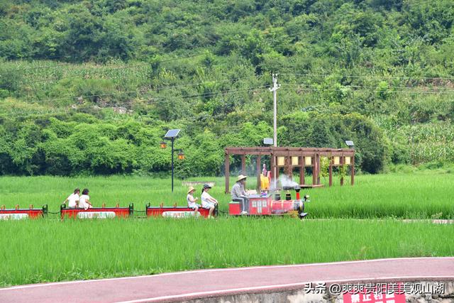 逃离城市计划：来这里玩 包快乐的