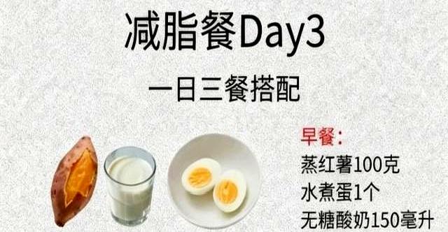 7天中国胃减脂餐！吃饱还掉秤，菜场食材超简单