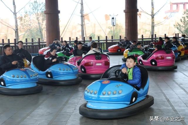 畅玩一整年！泰山石敢当景区官方年卡来啦！