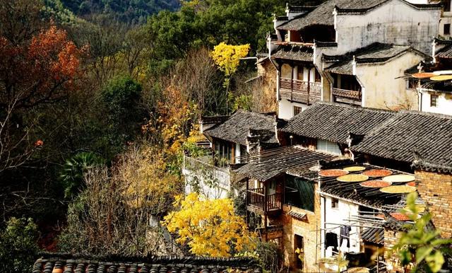 婺源篁岭：这个秋天，去篁岭去拍“晒秋”吧