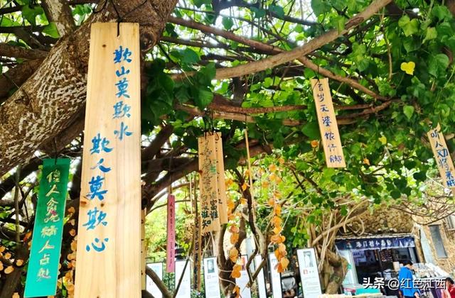 极南暖冬里，艺术在蚝壳上发光