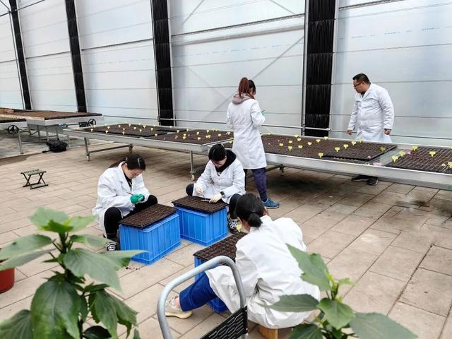 发现·公园城市 | 上天入地进万家 满城繁花绽芳华