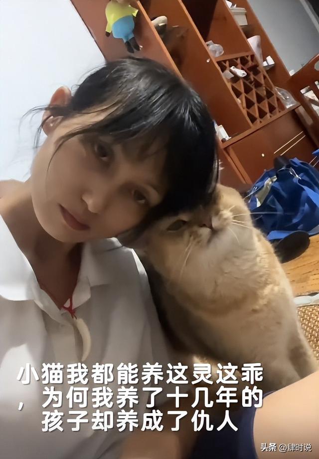 离异妈妈独自养儿子14年，孩子却转身投奔父亲，哭诉：猫都能养熟