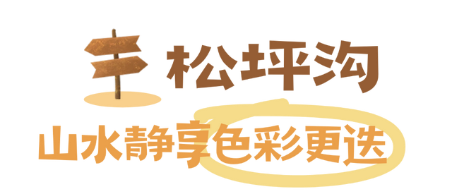 “捡”秋，本宫的眼睛想看彩林了！