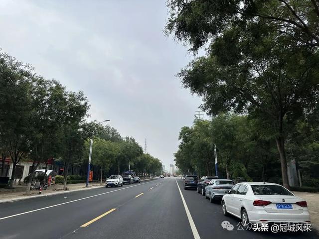 冠县印记·兴贸路