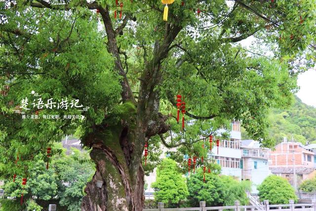 浙江宁波有一条清幽长溪，沿途3个古村犹如世外桃源，成休闲胜地