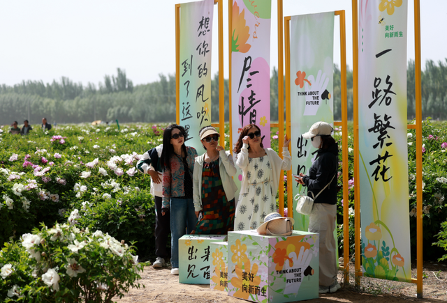 赏国色天香，品“舌尖”李俊