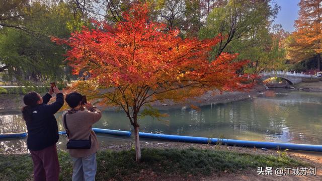 霜影下的城市绯霞