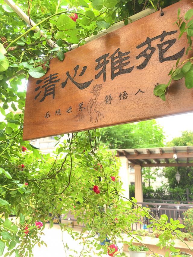 立冬桂晚，秋韵未阑