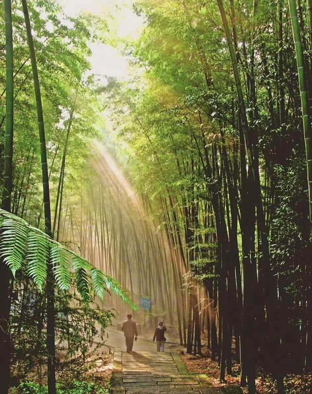 赤水河谷，邀你赴一场吃住游盛宴！