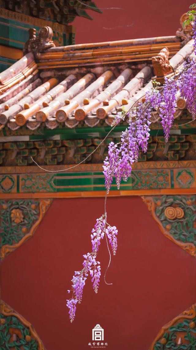 故宫四季美景一览，震撼高清美图预警！