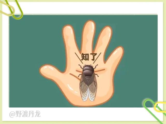 52图猜成语，“如”字成语专辑，来体会吉祥如意、一见如故的美妙