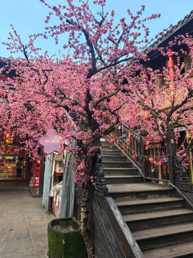 我是广州人，多次去成都后发现：这城市跟其他城市不一样的10个点