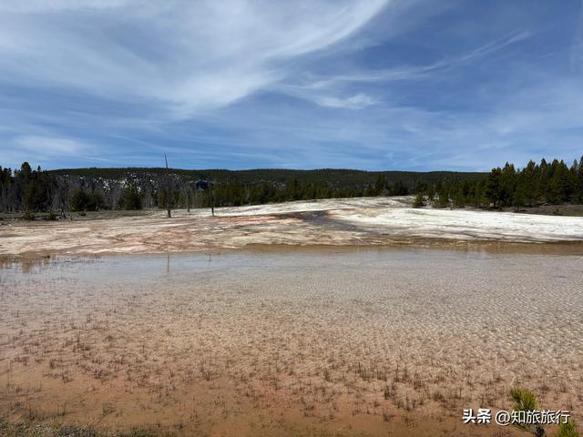 2025环球知旅——美西十三日(黄石公园5.10)
