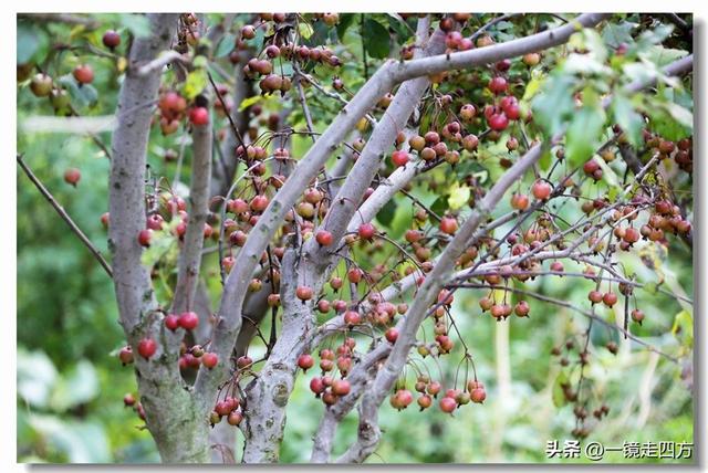 大连滨海路终点的海之韵公园