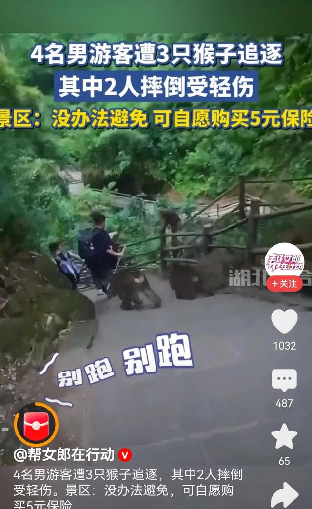 峨眉山猴子伤人频现，工作人员竟说“没办法”？游客怒了！