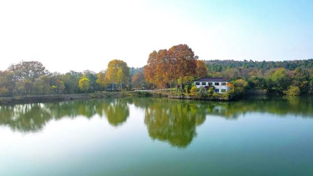 全屏“封神”!这可是全椒初冬的超绝顶流!