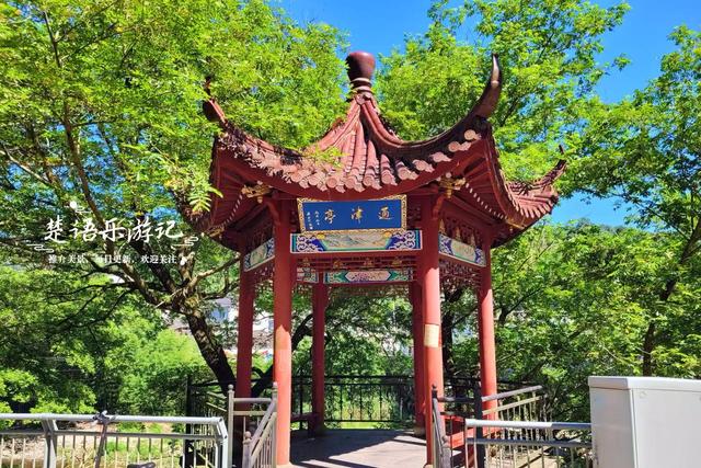 浙江宁波这片玩水地又火了，溪水清浅绿树掩映，确实是避暑秘境