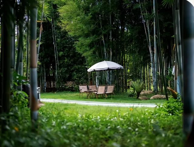 韶关新晋度假地，宛如现实版“绿野仙踪”，躺看星空的竹林民宿