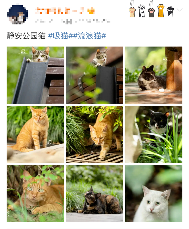 陪伴上海人70多年的“老友”要闭关升级了！这段历史头回听说？未来长啥样提前看！