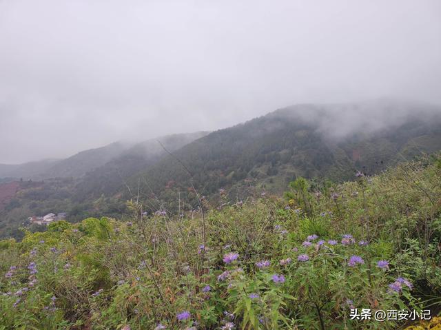 藏在秦岭旁的红土地，美成了人间仙境，是西安人周边游的好去处