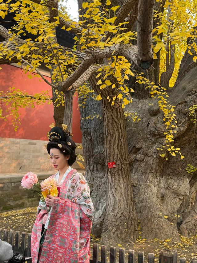 甘撒金缕苒秋寰