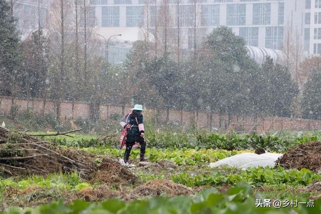 “上午立冬冻死牛，下午立冬暖烘烘”，今日立冬不一般，有啥说法
