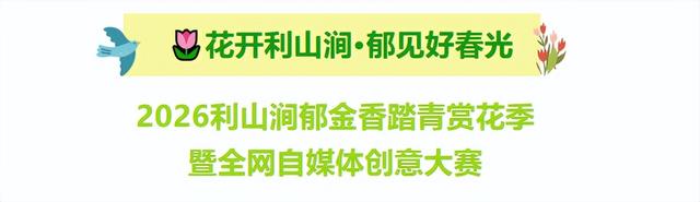 临沂花式闹元宵全攻略：灯会、赏花、优惠、演艺一键收藏！