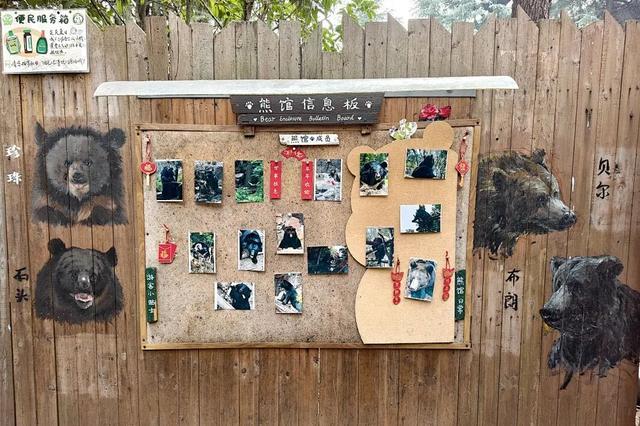 春节订单全国第一！南京红山动物园凭啥成亲子游“顶流”？