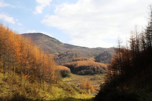 兰仓秋，染山河。