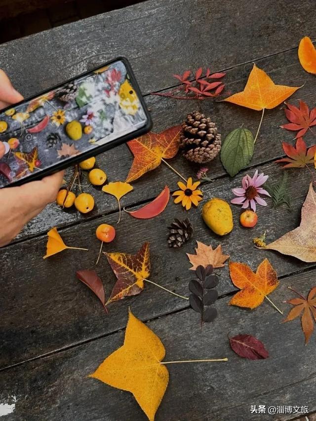 🤏捡捡捡,淄博惊现“捡秋”大神!海岱楼、周村大街…全被捡出来了→