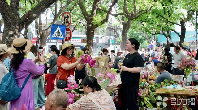 苏州“六月荷花市”盛景再现？